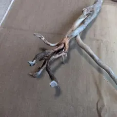 Item thumbnail for item 269db3eb-7490-41c2-adb1-08cfdb1aeac7