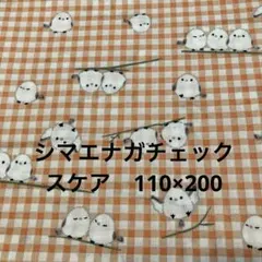 Item thumbnail for item 0ce10a08-438c-4b36-99e4-aefa901d36a9