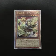 遊戯王 遊戯王OCG デュエルモンスターズ