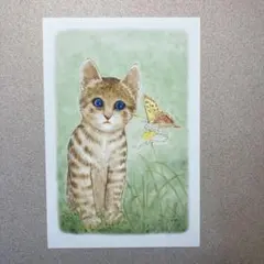 蝶を眺める猫 ‐131　イラスト　野原　絵　Pカード プリント まとめ買値引中