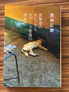 表参道のセレブ犬とカバーニャ要塞の野良犬