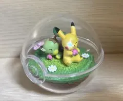 ポケットモンスター テラリウムコレクション　第11弾　ピカチュウ＆ナエトル