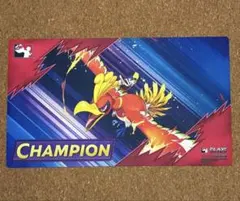 海外大会限定品 】タケルライコ ポケモン プレイマット チャンピオン