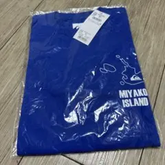 クイックシルバー　ミヤコジマ　コラボ　tシャツのサムネイル