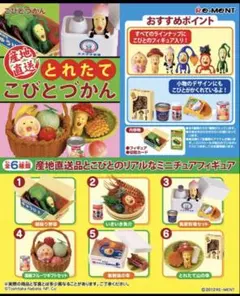 2026年最新】産地直送とれたてこびとづかんの人気アイテム - メルカリ