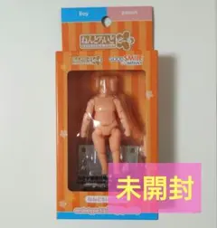 2026年最新】ねんどろいどどーる ボディの人気アイテム - メルカリ
