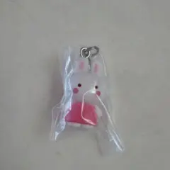 サンリオめじるしアクセサリー　チアリーチャム