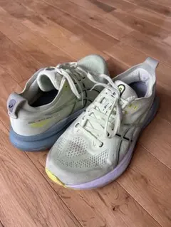 asics gelkayano 31 26cm