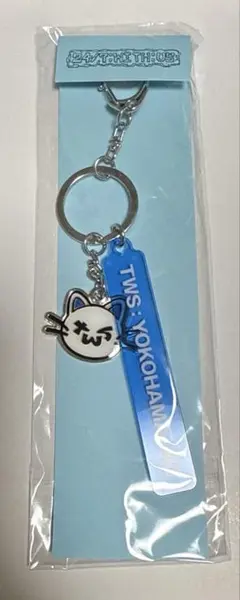 新品　おまとめtws  キーリング TWS | PLUSH KEYRING