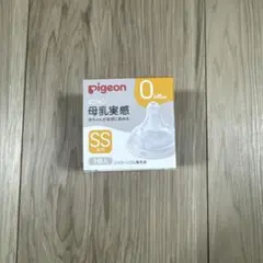 Item thumbnail for item fe8f03db-d80b-4f62-ac39-cadc5ed69104