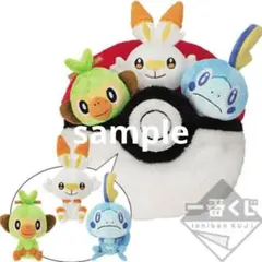 ポケットモンスター ソード・シールド 発売記念くじ ラストワン賞 ポケモン