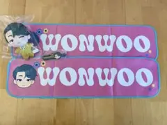 PetiTEEN 一番くじ SEVENTEEN ウォヌセット