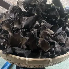 岩茸　山梨県産　約100gのサムネイル