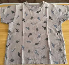 Item thumbnail for item f93ab499-2fd5-4569-9e8b-12049874c149