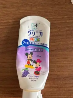 歯磨き粉 衛生用品