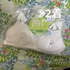 Item thumbnail for item ffb53afe-31ad-4a57-a7d9-c5f897e633d1