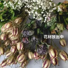 〘39D〙ドライフラワーセット 花材詰め合わせ ニゲラ50本他２種