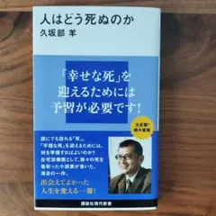 Item thumbnail for item 2afc2cde-aefc-440d-94a6-f12889c48e23