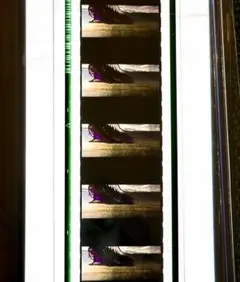극장판 마법소녀 마도카☆마기카 바르푸르기스의 환천 특전 필름 아사미 호무라