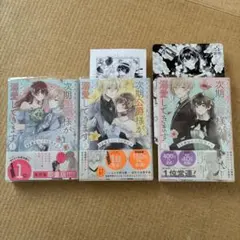 「きみを愛する気はない」と言った次期公爵様がなぜか溺愛してきます1〜3：水埜なつ