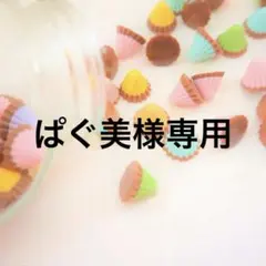 ぱぐ美様専用