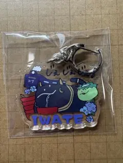 217find! バステトちゃん 岩手 IWATE