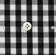 Item thumbnail for item fc5a1105-d355-4c8c-913f-6483c9160f01