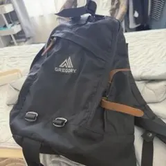 グレゴリー リュック 黒 軽量500g ナイロン レディース 通勤 16L 