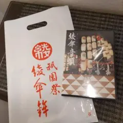 기온 페스티벌 아야카 엄브렐라 온도 DVD