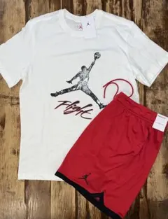 NIKE JORDAN ナイキ Tシャツ パンツ Lサイズ セットアップ