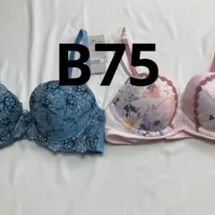 アモスタイル トリンプ レディース 下着 ブラジャー 2枚セット B75 156