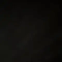 にゃんころもち様専用