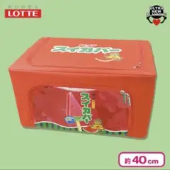 ロッテ スカイバー 窓付き収納ケース