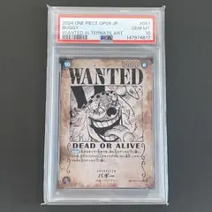2026年最新】バギー 手配書 psa10の人気アイテム - メルカリ