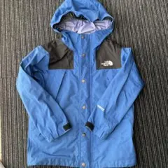 the north face 100