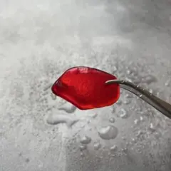 Item thumbnail for item ade472d8-c0f5-4827-be0d-17ab3fb6c562