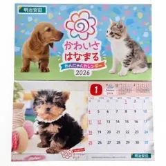 Item thumbnail for item 3f1f4a4d-83e2-411c-9629-90eec71b151f