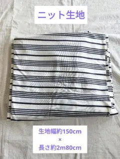 ボーダー柄 ニット生地 白×ネイビー 生地幅150cm×長さ2m80cm