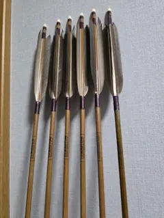 【だ様専売】EASTON 8023 弓道 矢 6本セット
