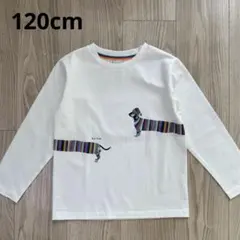 ポールスミス トップス