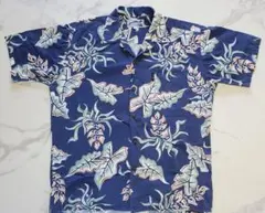 Item thumbnail for item 6d4c0da7-d6e3-4d22-82e4-dbad0007d979