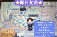 とびだせどうぶつの森　やり込み
