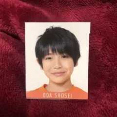 データカード デタカ Myojo 2019 小田将聖