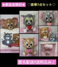 ★新品未開封★トムとジェリーBIGぬいぐるみ85th など 7点 まとめ売り‼︎のサムネイル