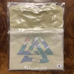 湘南国際マラソン 陸上競技