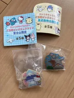 【新品未開封】サンリオ ご当地ピンズコレクション キティ シナモロール ２点