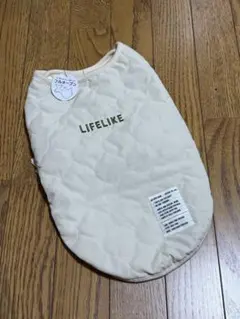 Item thumbnail for item b0ccd304-b294-4002-a64b-d99f571d290e