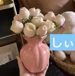 しぃ M
