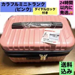 カラフル ミニトランクSP ピンク