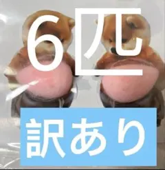 Item thumbnail for item 2aac3102-f969-46a8-aafc-fc092bf37c94